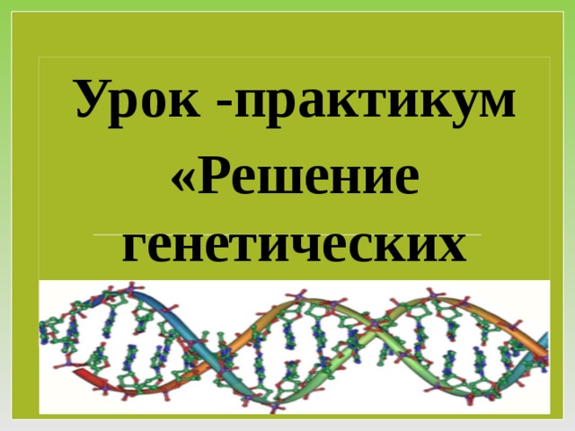 Урок -практикум «Решение генетических задач»