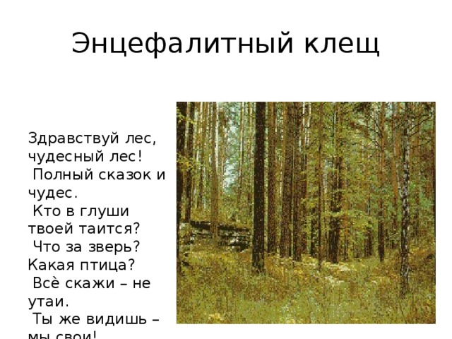 Песнь леса. Кто в глуши твоей таится что за зверь. Кто написал Здравствуй лес. Кто в глуши твоей таится? Что за зверь? Какая птица?. Текст Здравствуй лес чудесный лес.