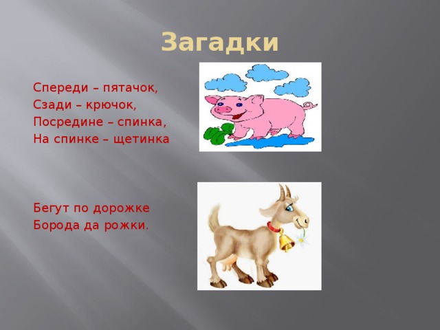 Пошли загадки. Загадки спереди пяточки. Загадка побежал по дорожке. Загадка бегут по дорожке рожки да ножки. Спереди Пятачок сзади крючок отгадка.