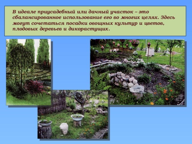 В идеале приусадебный или дачный участок – это сбалансированное использование его во многих целях. Здесь могут сочетаться посадки овощных культур и цветов, плодовых деревьев и дикорастущих. 