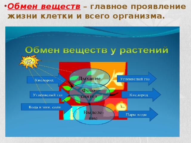 Биология 5 процессы жизнедеятельности клетки