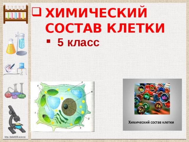 Химический состав клетки 5