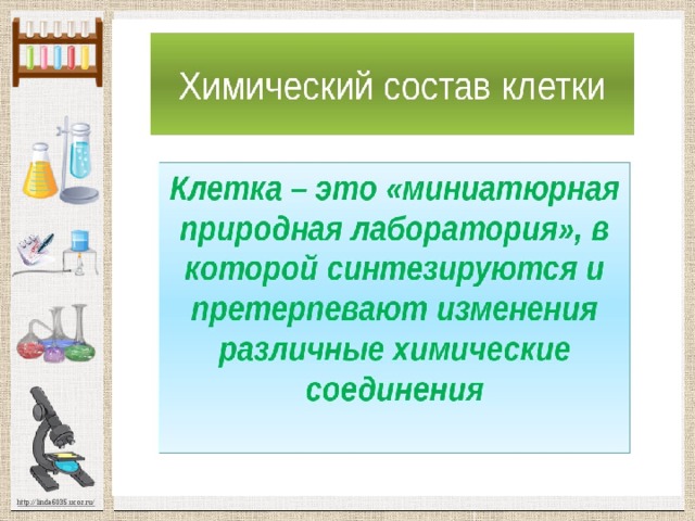 Химический состав клетки презентация 5 класс презентация