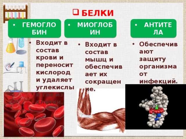 Химический состав клетки презентация 5 класс презентация