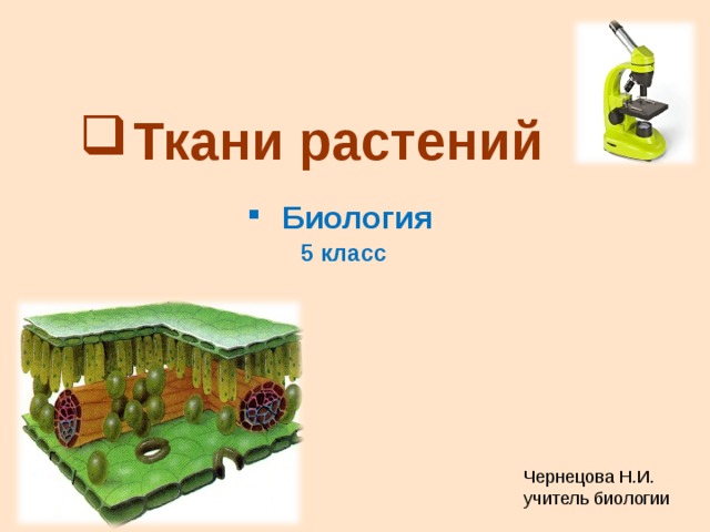 Ткани растений Биология 5 класс Чернецова Н.И. учитель биологии 