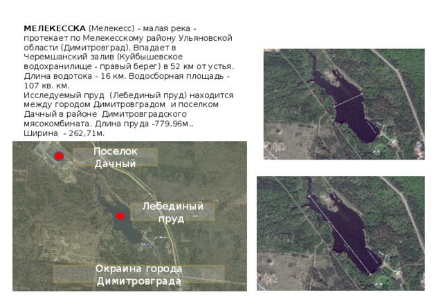 МЕЛЕКЕССКА (Мелекесс) - малая река - протекает по Мелекесскому району Ульяновской области (Димитровград). Впадает в Черемшанский залив (Куйбышевское водохранилище - правый берег) в 52 км от устья. Длина водотока - 16 км. Водосборная площадь - 107 кв. км. Исследуемый пруд (Лебединый пруд) находится между городом Димитровградом и поселком Дачный в районе Димитровградского мясокомбината. Длина пруда -779,96м., Ширина - 262,71м. Поселок Дачный Лебединый пруд Окраина города Димитровграда 