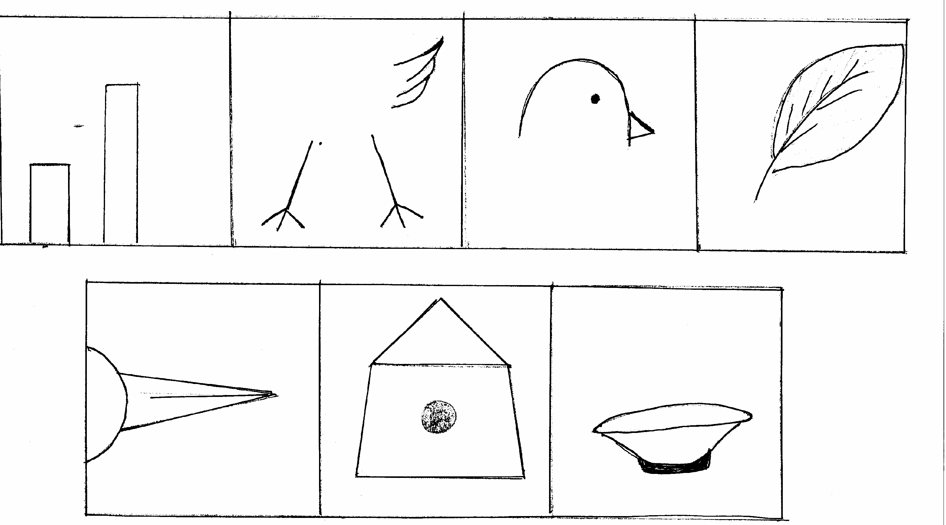 Предметно-схематическая модель птицы