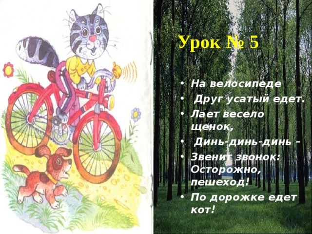  Урок № 5 На велосипеде  Друг усатый едет. Лает весело щенок,  Динь-динь-динь – Звенит звонок: Осторожно, пешеход! По дорожке едет кот! 