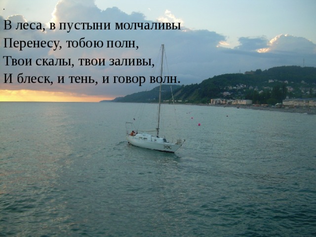 . В леса, в пустыни молчаливы  Перенесу, тобою полн,  Твои скалы, твои заливы,  И блеск, и тень, и говор волн. 