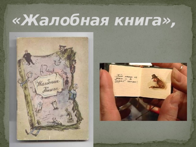 План жалобная книга