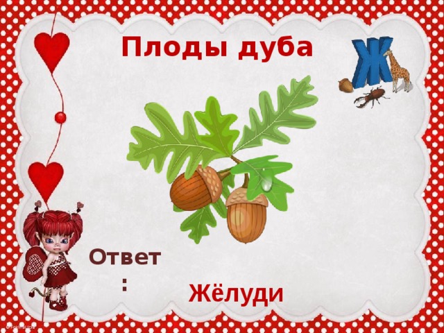 Ответ дуб. Синоним плод дуба. Загадки на отгадку жёлудь. Дуб ответить. Игра ассоциации в картинках ответы Желудь земля.