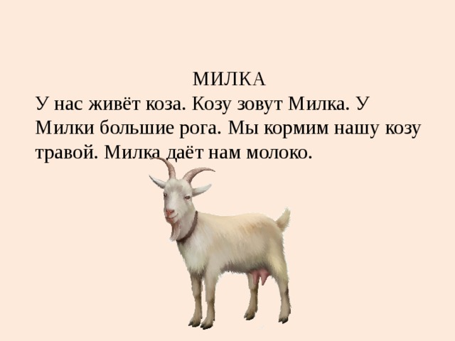 Текст милки. Козлята предложение. Предложение про козу. У нас живёт коза козу зовут Милка. Цитаты про козу.