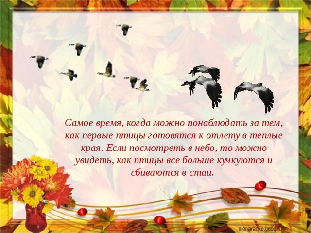 Птицы готовились к отлету. Птицы готовятся к отлету в теплые края. В осеннее дни собрались к отлету Журавли. Адаптация осенний отлет птиц. Как птицы готовятся к перелету.