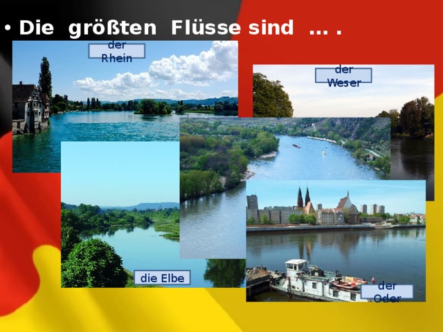  Die größten Flüsse sind … .  der Rhein der Weser die Donau die Elbe der Oder 