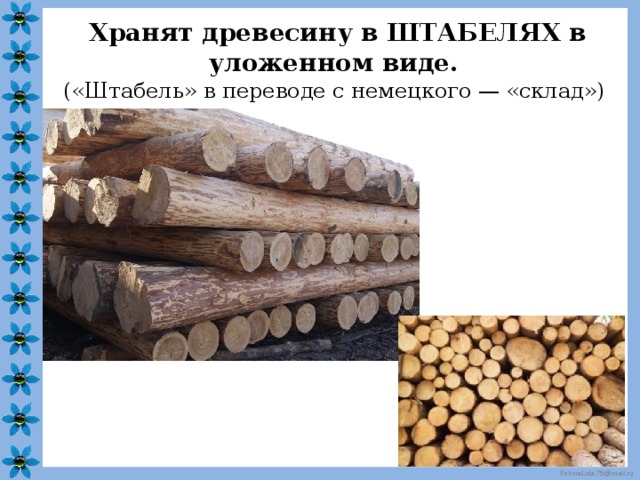Хранят древесину в ШТАБЕЛЯХ в уложенном виде. («Штабель» в переводе с немецкого — «склад») 