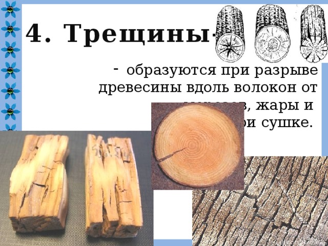 4. Трещины–  образуются при разрыве древесины вдоль волокон от морозов, жары и при сушке. 