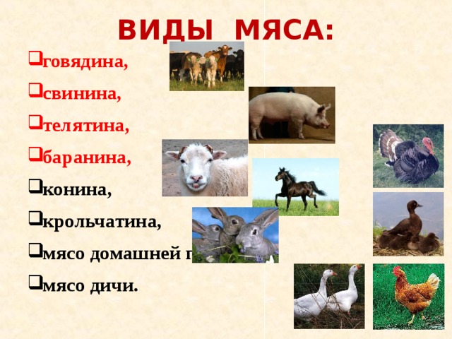 Презентация на тему мясо животных