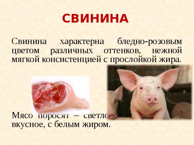 Презентация мясо свинины