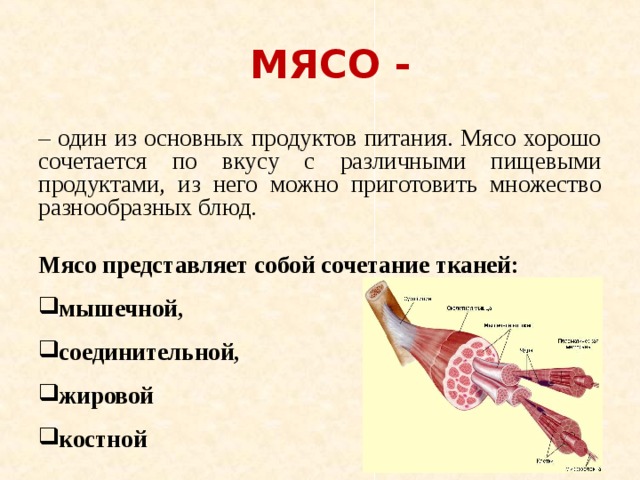 Презентация на тему мясо животных