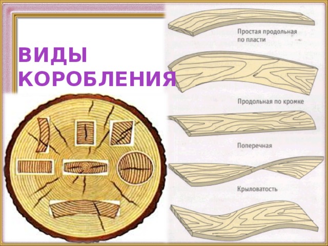 Рисунок древесины название