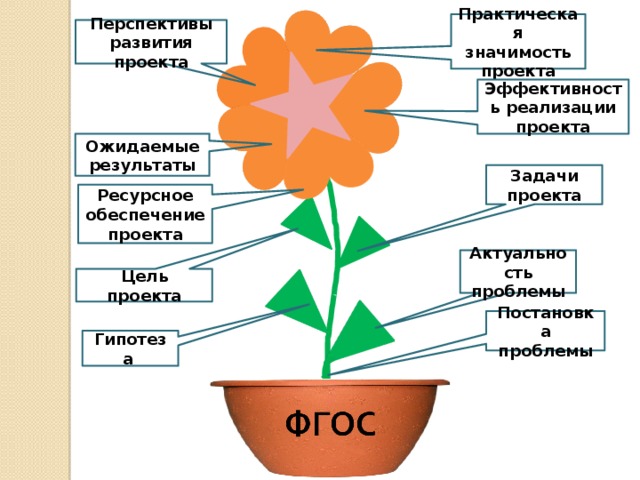 Перспективы развития проекта