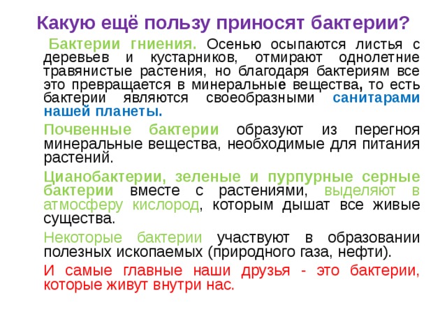 Приносит ли пользу. Какую пользу приносят бактерии человеку. Какие микроорганизмы приносят пользу человеку. Какую пользу могут приносить бактерии. Польза микроорганизмов для человека.