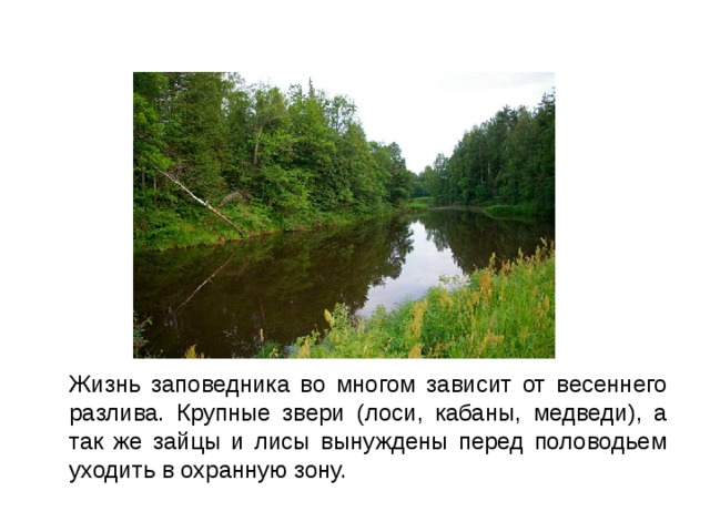 Охрана природы в кировской области 4 класс проект по окружающему миру