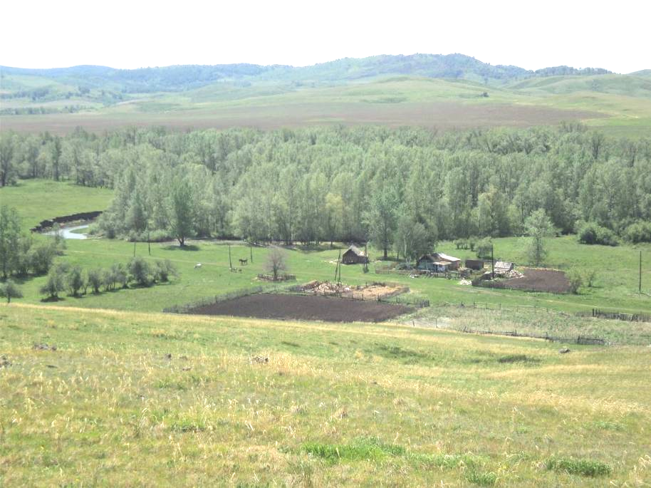 Село документов. Курьинский район Алтайский край. Село ручьёво Курьинский район Алтайский край. Казанцево Алтайский край Курьинский район. Стелла Курьинского района Алтайского края.