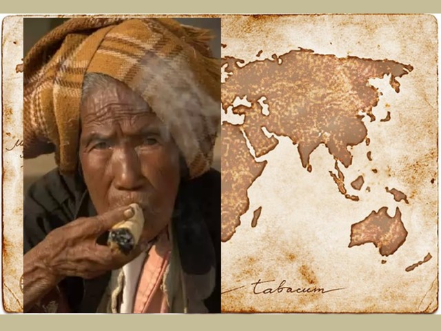 В начале 17 в. табак использовался уже почти во всем мире. Проникновению табака в Европу способствовал монах Роман Панэ, который во время второй экспедиции Колумба побывал в Америке в качестве миссионера. Уже в 1496 г. первые табачные плантации появляются в Испании, в 1559 г. - в Португалии, а оттуда, в 1560 г., - во Франции, В конце XVI -начале XVII вв. курение распространилось и на другие материки. В Средней Азии и странах Востока табак закладывали под язык или за щеку, из высушенных листьев готовили нюхательный порошок.  