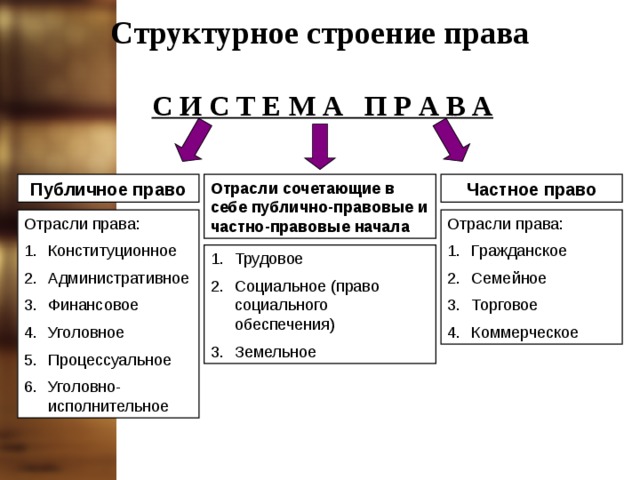 Схема отрасли права 10 класс