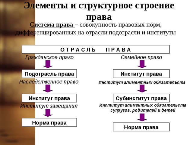 Система права право 10 класс презентация