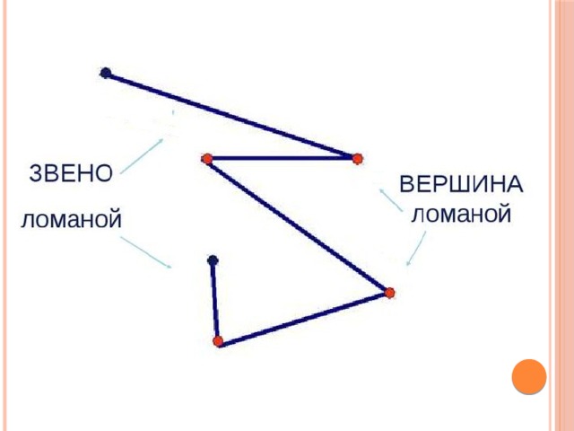 Используя замкнутые кривые и ломаные линии нарисуй клумбу