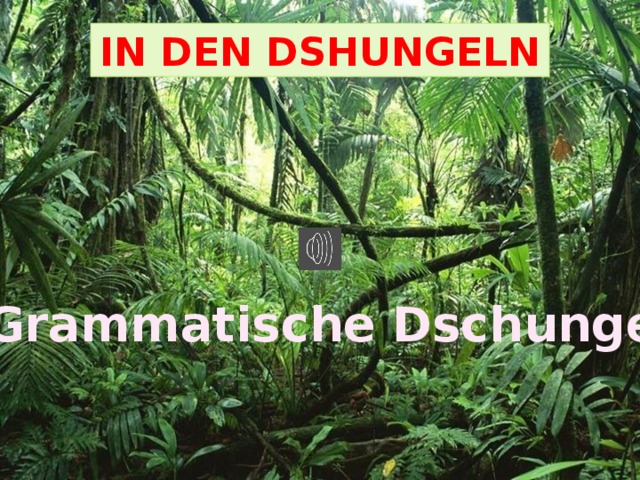 IN DEN DSHUNGELN  Grammatische Dschungel 