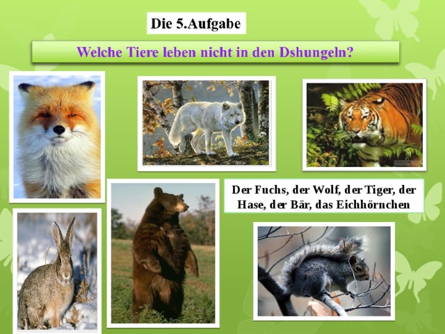 Der Fuchs, der Wolf, der Tiger, der Hase, der Bär, das Eichhörnchen 