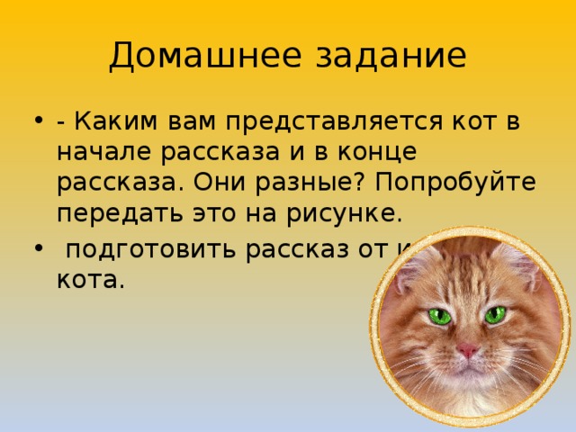 Кот ворюга план