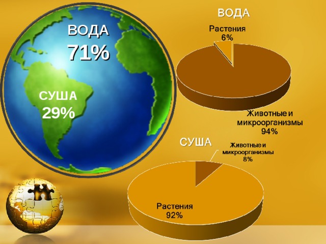 Сколько составляет суша земли