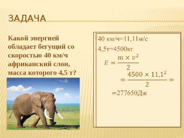 Газель томпсона если бы бежала 6 часов со своей максимальной скоростью пробежал бы 480 км