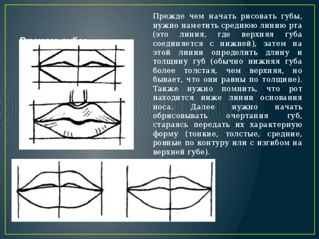 Приора нижняя губа