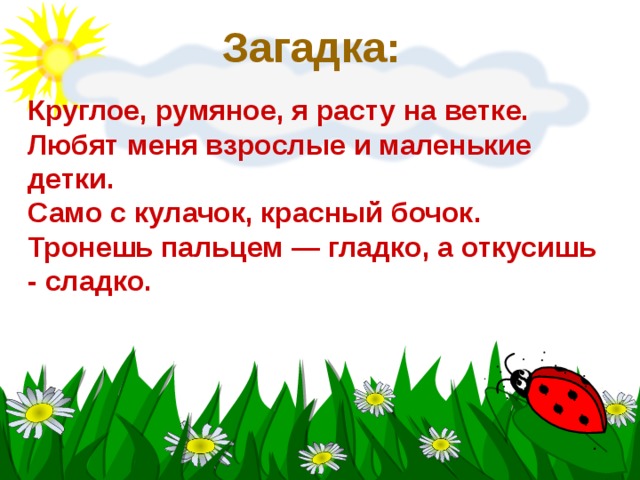 Загадка:  Круглое, румяное, я расту на ветке. Любят меня взрослые и маленькие детки. Само с кулачок, красный бочок. Тронешь пальцем — гладко, а откусишь - сладко. 