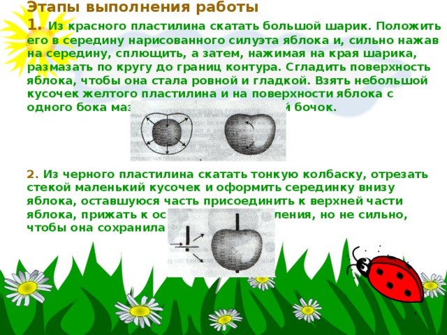 Этапы выполнения работы  1. Из красного пластилина скатать большой шарик. Положить его в середину нарисованного силуэта яблока и, сильно нажав на середину, сплющить, а затем, нажимая на края шарика, размазать по кругу до границ контура. Сгладить поверхность яблока, чтобы она стала ровной и гладкой. Взять небольшой кусочек желтого пластилина и на поверхности яблока с одного бока мазком изобразить желтый бочок.      2. Из черного пластилина скатать тонкую колбаску, отрезать стекой маленький кусочек и оформить серединку внизу яблока, оставшуюся часть присоединить к верхней части яблока, прижать к основе для закрепления, но не сильно, чтобы она сохранила свой объем. 