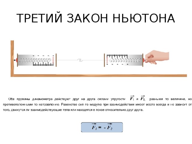 Тест сила единицы силы