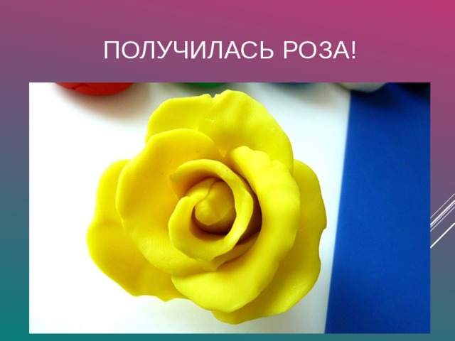 ПОЛУЧИЛАСЬ РОЗА! 