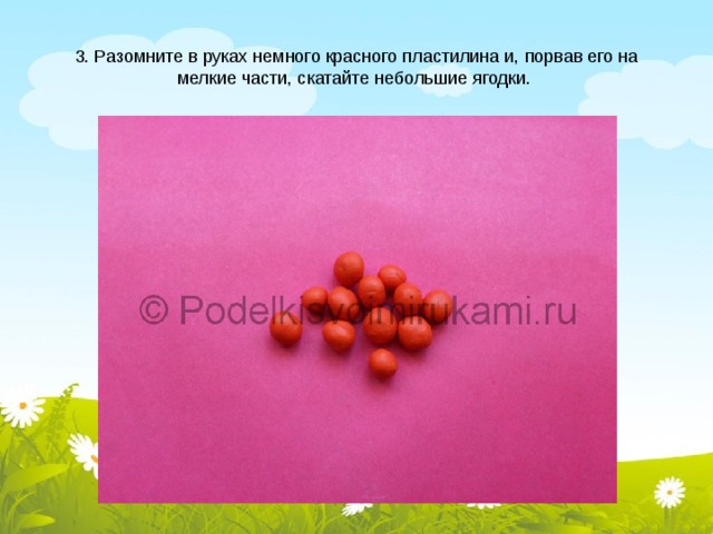 3. Разомните в руках немного красного пластилина и, порвав его на мелкие части, скатайте небольшие ягодки. 