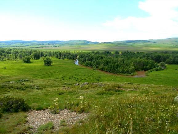 Погода в алтайском крае курьинском районе. Казанцево Алтайский край Курьинский район. Курьинский район рельеф. Село Ручьево Алтайский край Курьинский район. 