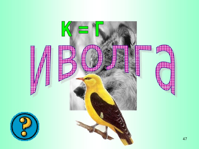41 