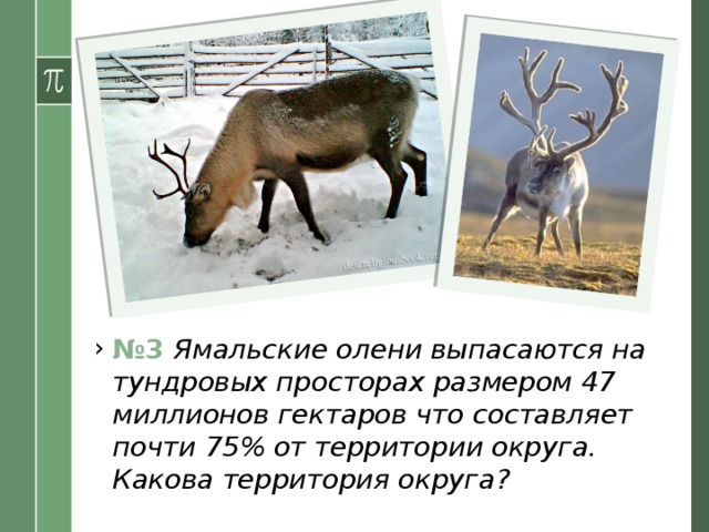 № 3 Ямальские олени выпасаются на тундровых просторах размером 47 миллионов гектаров что составляет почти 75% от территории округа. Какова территория округа? 