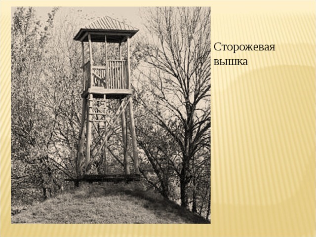 Презентация проекта сторожевая вышка