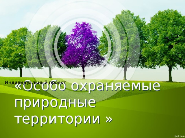 Индивидуальный проект    «Особо охраняемые природные территории » 