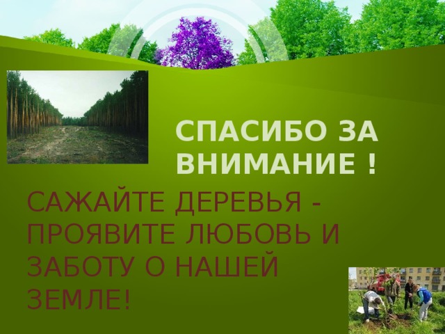 СПАСИБО ЗА ВНИМАНИЕ ! САЖАЙТЕ ДЕРЕВЬЯ - ПРОЯВИТЕ ЛЮБОВЬ И ЗАБОТУ О НАШЕЙ ЗЕМЛЕ! 