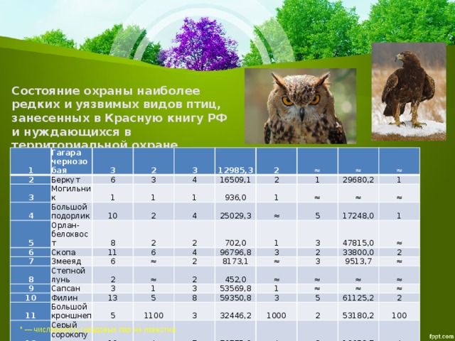 Состояние охраны наиболее редких и уязвимых видов птиц, занесенных в Красную книгу РФ и нуждающихся в территориальной охране 1 2 Гагара чернозобая 3 3 Беркут 4 2 Могильник 6 5 3 3 1 Большой подорлик 4 6 1 Орлан-белохвост 10 12985,3 1 7 Скопа 2 8 16509,1 2 11 2 8 Змееяд 4 ≈ 2 936,0 2 9 ≈ 1 6 6 1 Степной лунь 25029,3 ≈ ≈ 29680,2 10 4 ≈ Сапсан 702,0 2 ≈ ≈ 2 96796,8 1 3 11 5 1 ≈ Филин 13 12 2 1 17248,0 3 3 ≈ 8173,1 Большой кроншнеп 47815,0 3 5 2 ≈ Серый сорокопут 5 1 452,0 3 33800,0 8 ≈ 53569,8 1100 ≈ 10 9513,7 3 ≈ 59350,8 * 2 1 7 ≈ ≈ ≈ 3 32446,2 5 ≈ 76775,0 1000 ≈ 61125,2 2 ≈ * 53180,2 2 2 10653,7 100 * *  — численность гнездовых пар не известна 